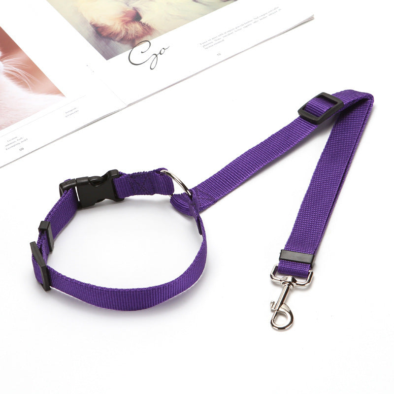NINA'S PET™のペット用シートベルトで、愛犬や愛猫とのドライブをより安全にしましょう!