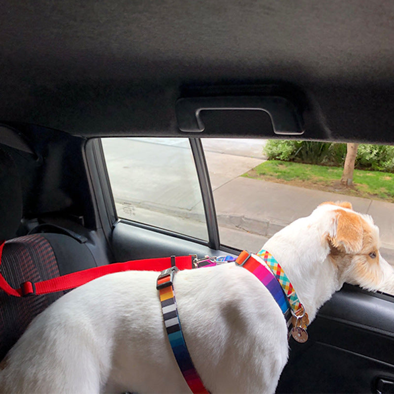 NINA'S PET™のペット用シートベルトで、愛犬や愛猫とのドライブをより安全にしましょう!