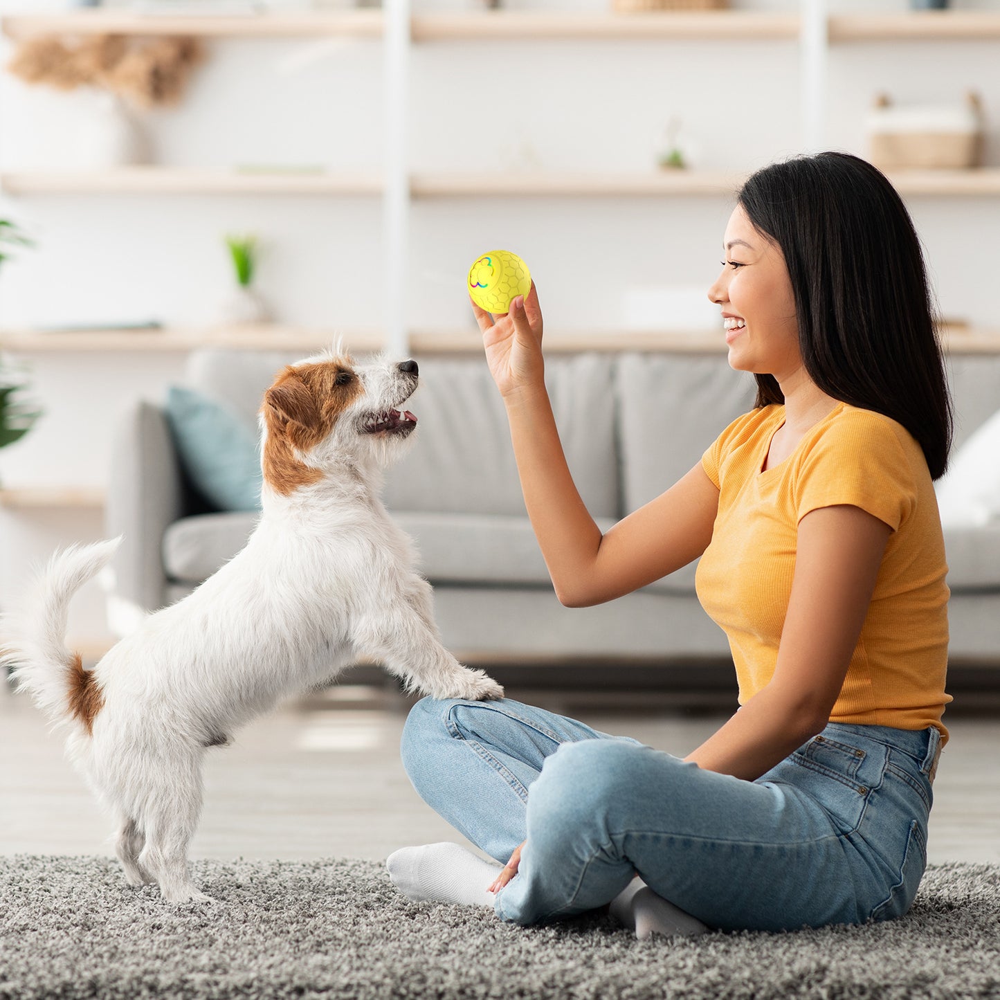 🎾NINA'S PET™ 電動ボール — エネルギーたっぷりのペットにぴったりのスマートなおもちゃ！ 🔋🐶😻
