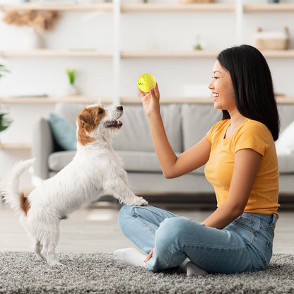 🎾NINA'S PET™ 電動ボール — エネルギーたっぷりのペットにぴったりのスマートなおもちゃ！ 🔋🐶😻