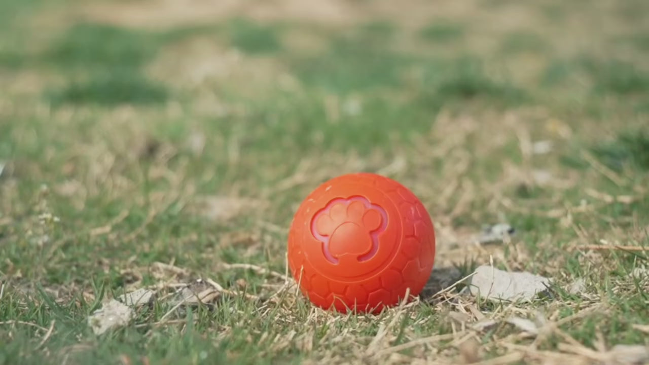 動画を読み込む: 